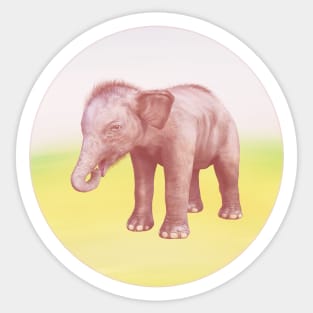 Save Elephants Sticker